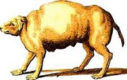 Fatpooch.png