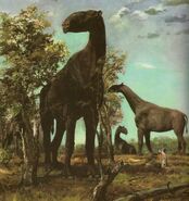 Could a survived group of Paraceratherium be the mysterious creature?