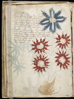 The Voynich Manuscript, page 32.