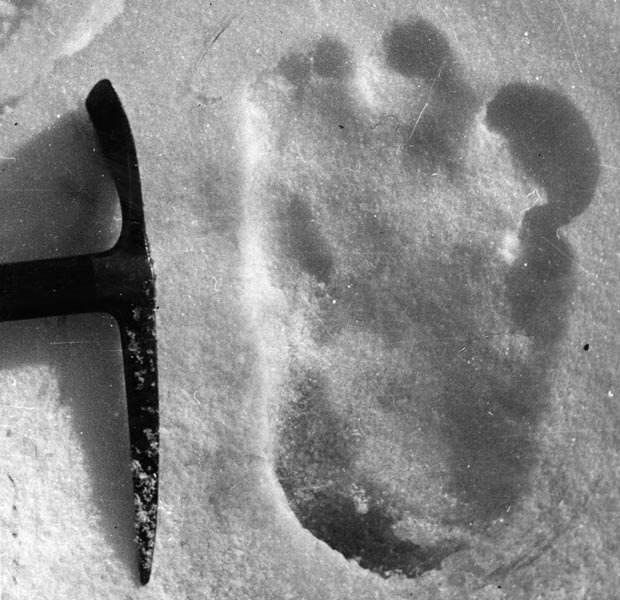 eDNA, Footprints and the Biological Bigfoot: Comments on an