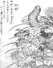 Art showing the Nozuchi as a legendary creature.