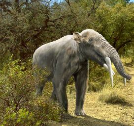 Gomphotherium angustidens by leogon-d83e9ni