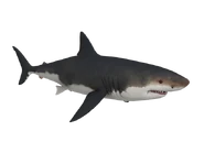 The model of the Megalodon for the Battlefield 4 and Battlefield 1 Megalodon easter egg