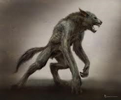 Werewolf drawing artist rendering