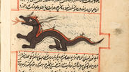 An Asian Dragon as a Jinn