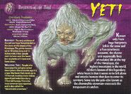 Yeti front