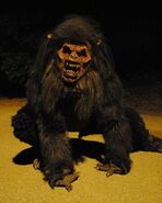 DevilMonke.jpg (24 KB) The Devil Monkey in "Lost Tapes"