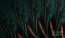 1-weird-plants-jan-willem-van-swigchem.jpg