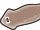 Giant Planaria
