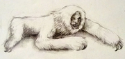 Drawing of the jangsan beom by an unknown artist.