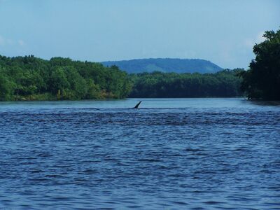 Pepie-lake-monster.jpg