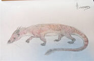 Chinese dragon speculative biology