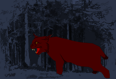 Ccaat.png