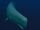 Leviathan