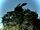 Massive Carpenter Bee