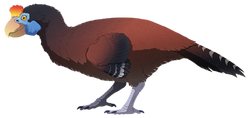 Sylviornis