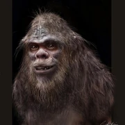 Artist's interpretation of bigfoot