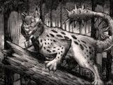 Sliver Cat