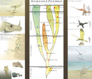 Hypothetical phylogenetic tree