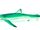 Green Shark