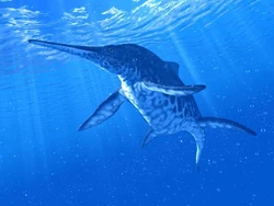 Ichthyosaur
