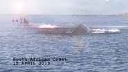 A shark supposedly of similar size to megalodon.