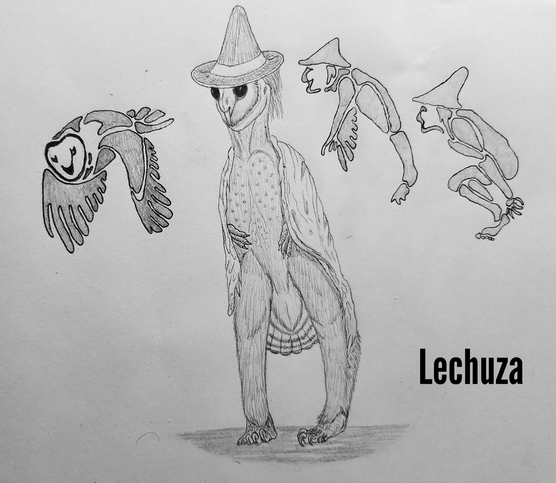 Lechuza, Cryptid Wiki
