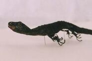 Black Lizard (364×180mm) Found in Tokyo, Japan in 2000.