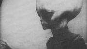 Grey Alien.jpg