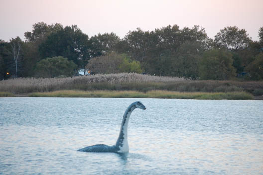 Mokele-mbembe: Congo's version of the Loch Ness Monster? - BBC News