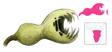 Swallowing-gourd-final.jpg