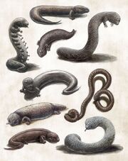 Variations