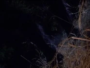 Hooves of the Jersey Devil in the Lost Tapes. If necessary, zoom until you see a gray thing.