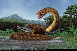 biggest snake in the world megalodon