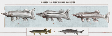 Pouya-moayedi-kinosoo-big-fish-refined-concepts
