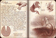 Kelpie by shyrii-d6xh61w.jpg