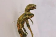 Mr. and Mrs. Frog (242×334mm) Found in Avignon, France in 2000.