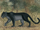 Ndalawo