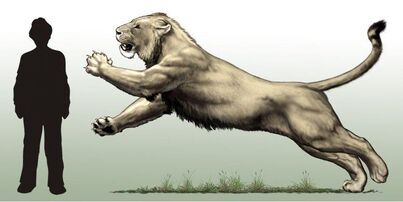 Buffalo-Lion (Crypid).jpg
