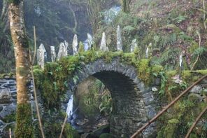 Bridge.jpg