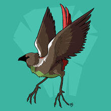 MINKA BIRD.jpg