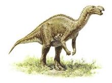 Muttabarrasaurus