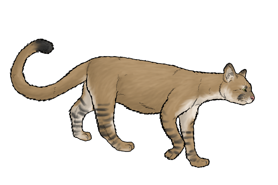 Onza | Cryptid Wiki | Fandom Onza | Cryptid Wiki | Fandom