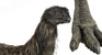 The Giant Moa