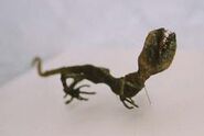 Dinosaur Baby (364×180mm) Found in Betroka, Madagascar in 2000.