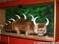 Hodag model used to fake the creature