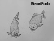 MissouriPIRANHA