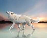 Whitewolf