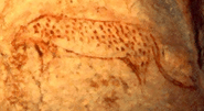 Painting of a European Leopard in the Chauvet Cave in France