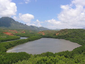 Alekoko fishpond